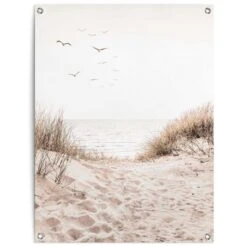 Tuinposter Duinen 80x60 Cm Beige