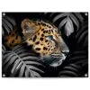 Tuinposter Jungle Luipaard 60x80 Cm Bont