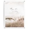 Tuinposter Kraanvogels 80x60 Cm Beige