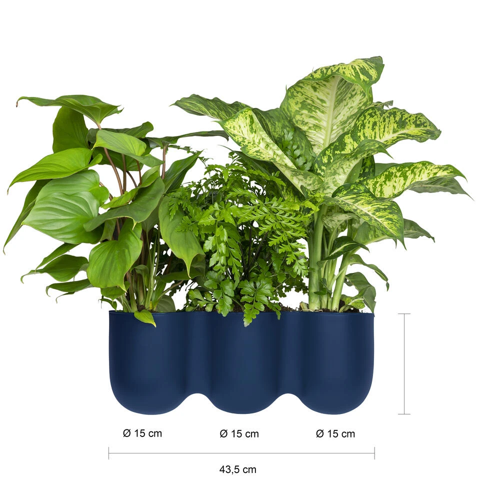 QUVIO Wand Bloempot-trio Plastic - Donker Blauw - POPPY - Afbeelding 3