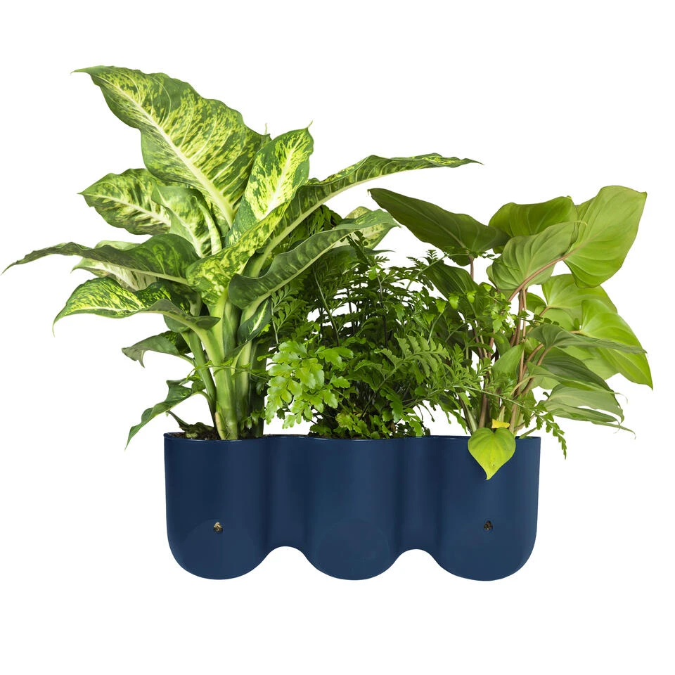 QUVIO Wand Bloempot-trio Plastic - Donker Blauw - POPPY - Afbeelding 4