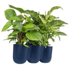 QUVIO Wand Bloempot-trio Plastic - Donker Blauw - POPPY