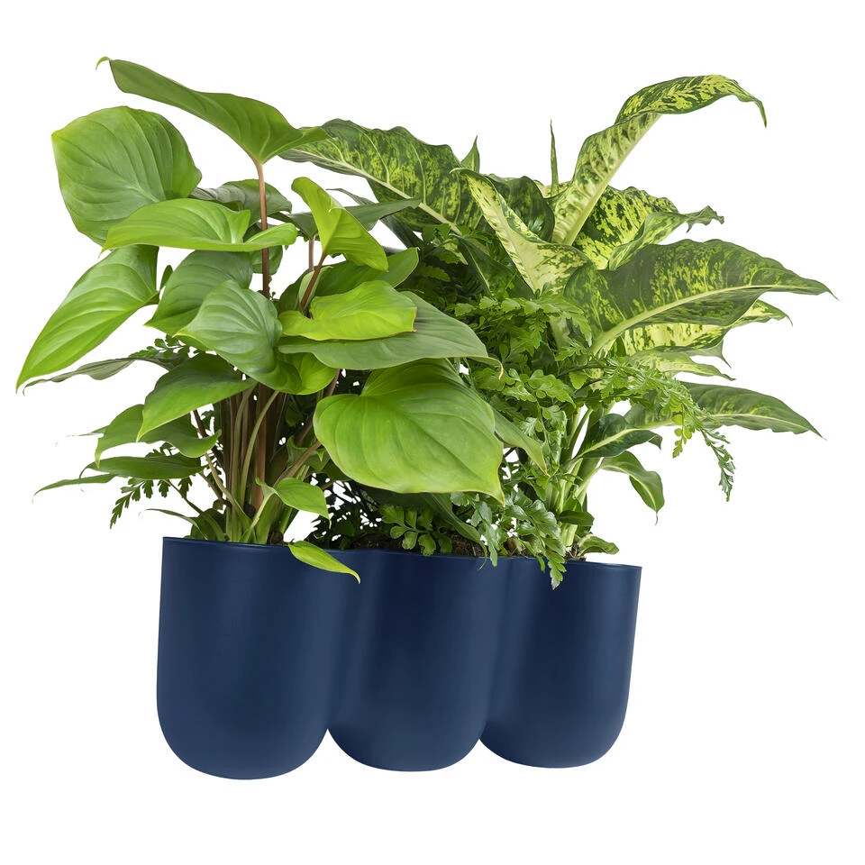 QUVIO Wand Bloempot-trio Plastic - Donker Blauw - POPPY
