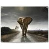 Tuinposter Wandelende Olifant 60x80 Cm Bruin
