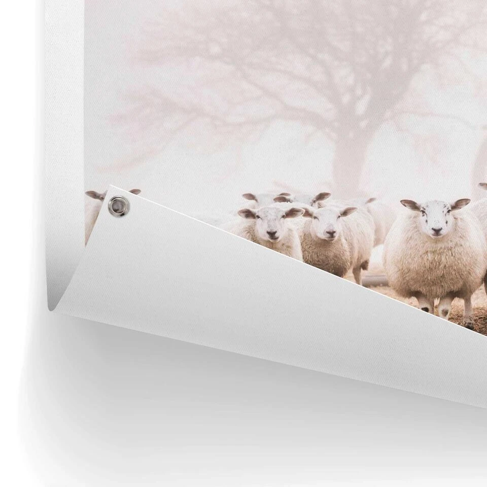 Tuinposter Schaap In De Mist 80x60 Cm Beige - Afbeelding 3