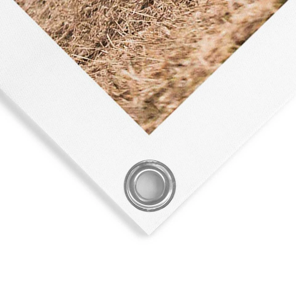 Tuinposter Schaap In De Mist 80x60 Cm Beige - Afbeelding 4