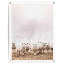 Tuinposter Schaap In De Mist 80x60 Cm Beige