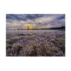 Art For The Home - Buitencanvas - Lavendelveld - 50x70cm