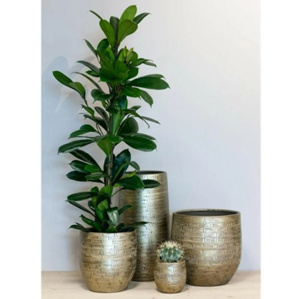 Bela Arte Plantenpot - Keramiek - Goud Glans - D24-H22 Cm - Afbeelding 2